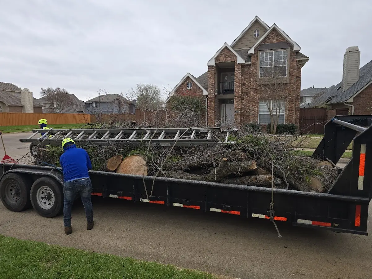 Expert Tree Pest Control with proper safety equipment in Shaniko